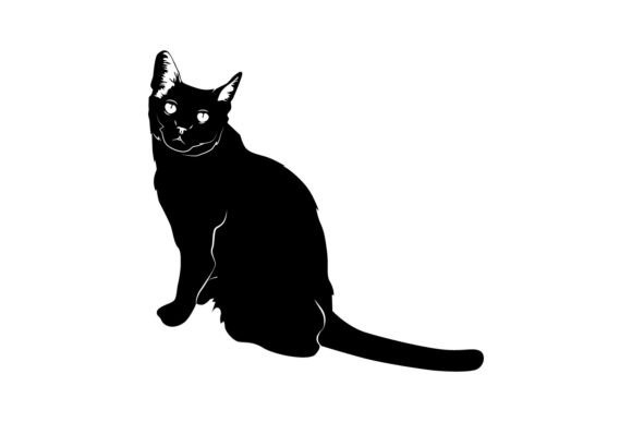 Animal Cat Silhouette Black and White Gr Review