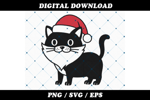 Cute Christmas Cat in Santa Hat Review
